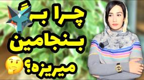 ویدیو: چرا برگهای بنجامین می‌ریزند؟ نکات طلایی برای نگهداری از این گیاه زیبا