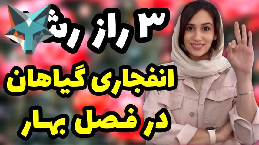 ۵ نکته کلیدی برای شکوفایی گیاهان در فصل بهار