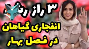 ویدیو: ۵ نکته کلیدی برای شکوفایی گیاهان در فصل بهار