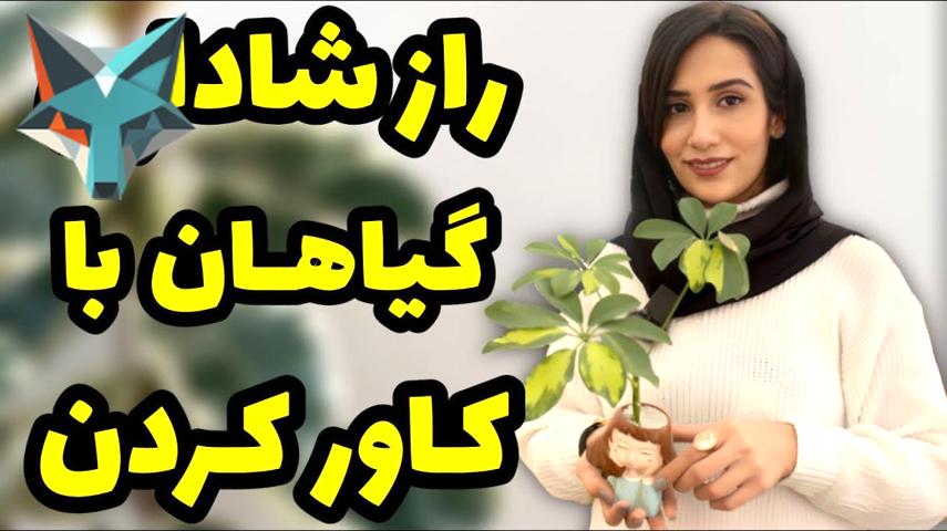 راز احیای شادابی و طراوت گیاهان با استفاده صحیح از کاورهای گیاهی