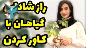 ویدیو: راز احیای شادابی و طراوت گیاهان با استفاده صحیح از کاورهای گیاهی